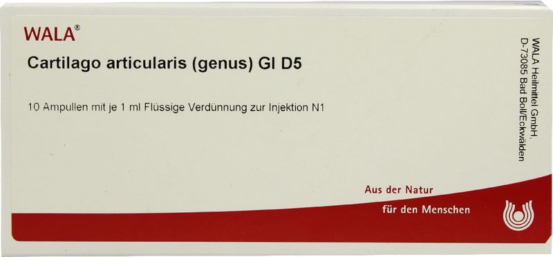 CARTILAGO articularis genus GL D 5 Ampullen