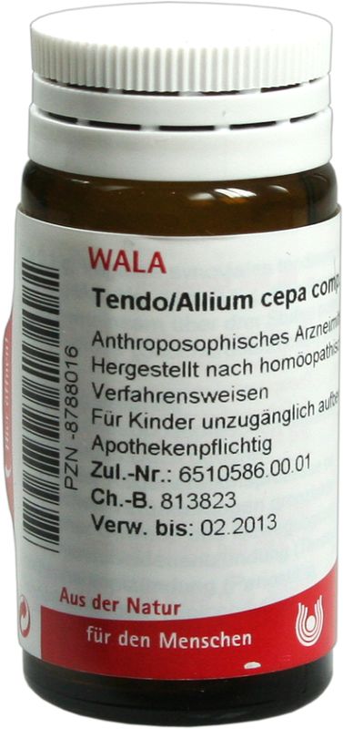 TENDO/ALLIUM cepa comp.Globuli
