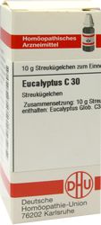 EUCALYPTUS C 30 Globuli
