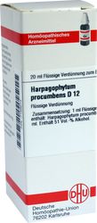 HARPAGOPHYTUM PROCUMBENS D 12 Dilution