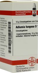 ADLUMIA fungosa D 12 Globuli