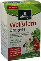 KNEIPP Weidorn Dragees