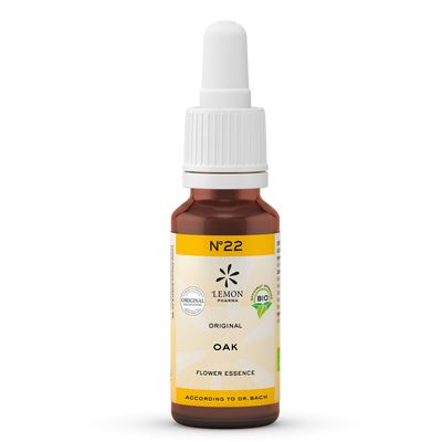 BACHBLTEN No.22 Oak Bio